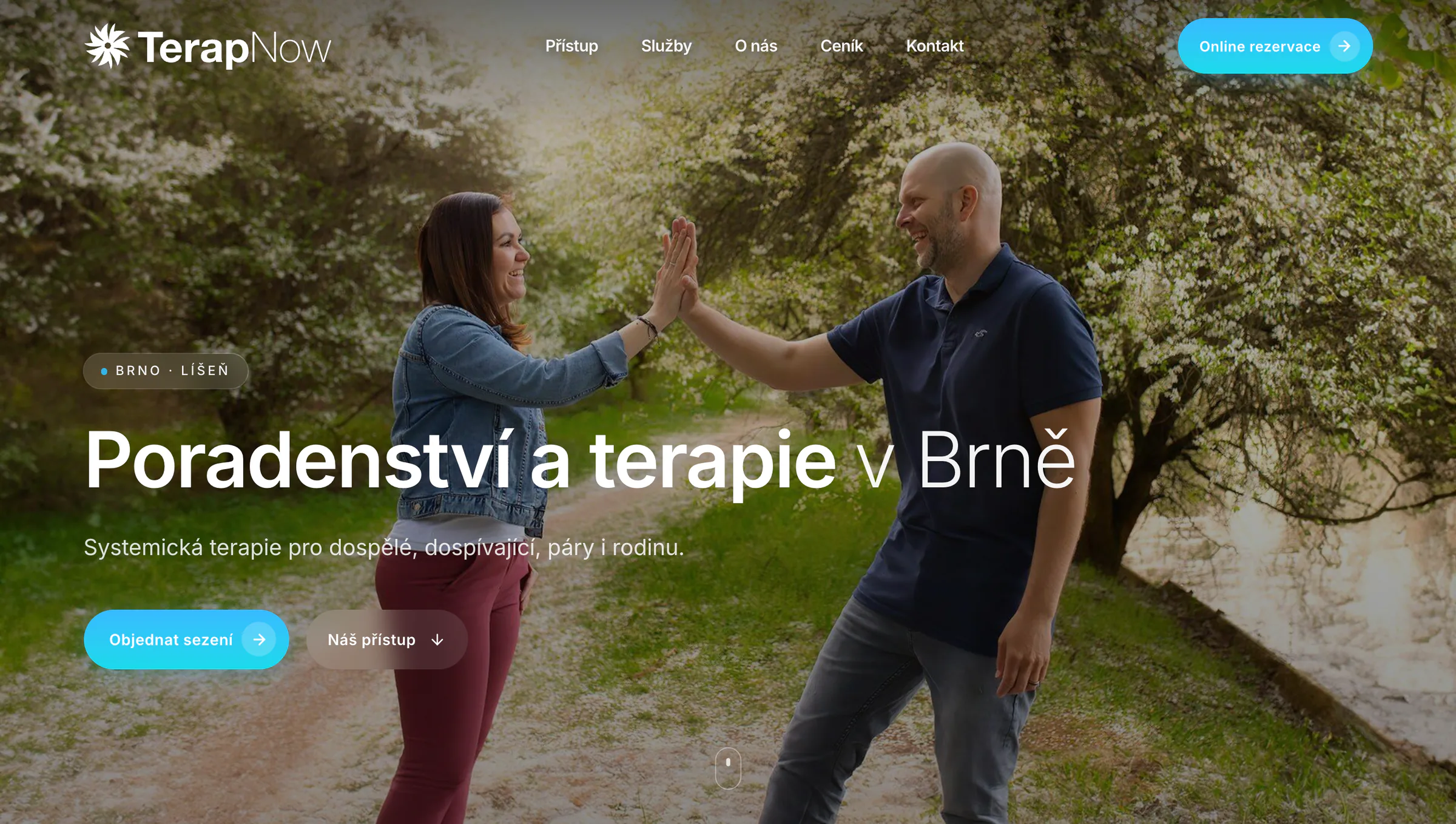 TerapNow: ukázka řešení