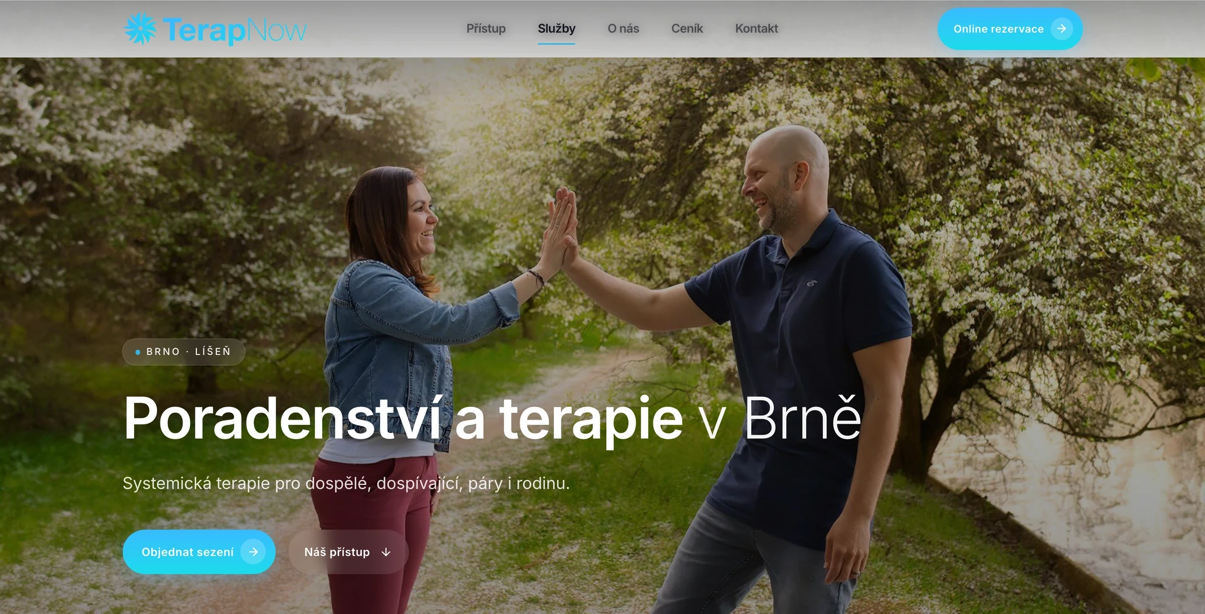 TerapNow – ukázka řešení